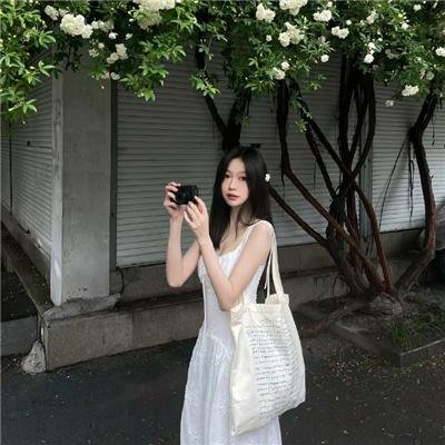 洛杉矶捣蛋计划