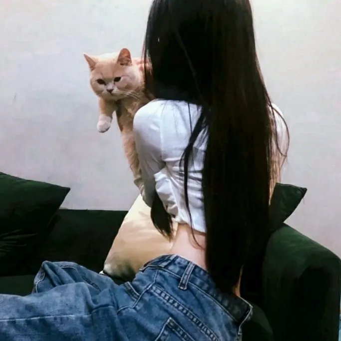 我的珍宝